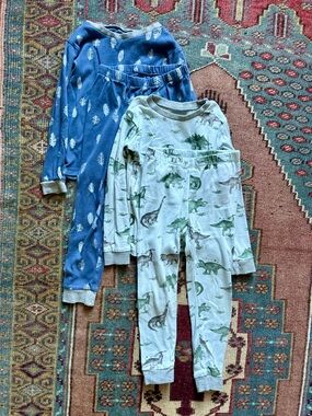 Burt's Bees Kids Print Pajama Set - Blue and Gray 5T